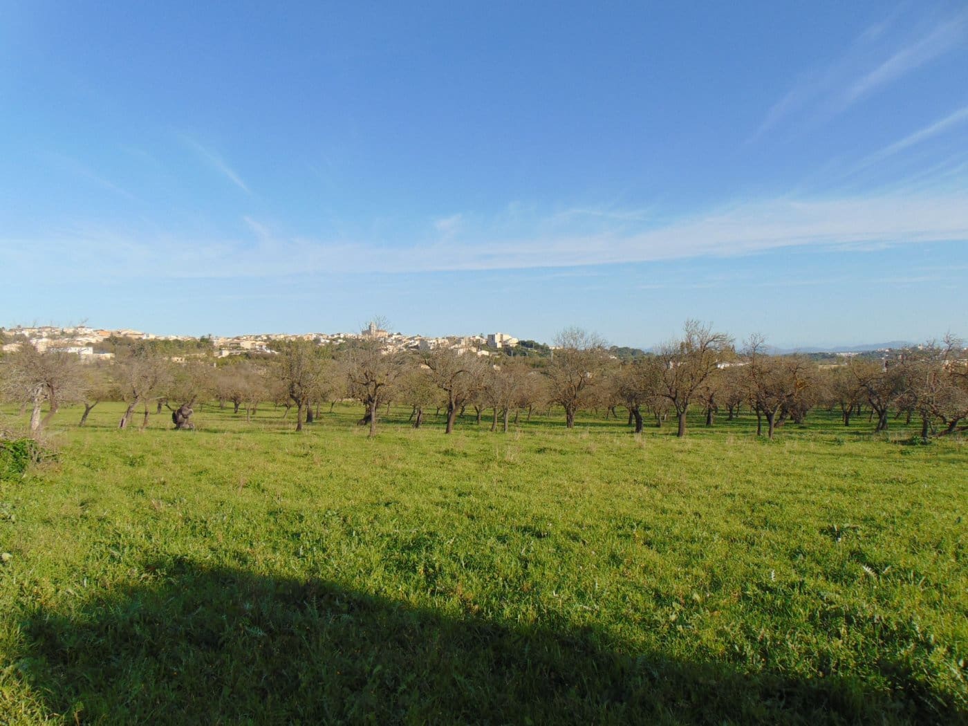 2 soveværelse Finca/Landehus til salg i Campanet - € 760.000 (Ref: 5173652)