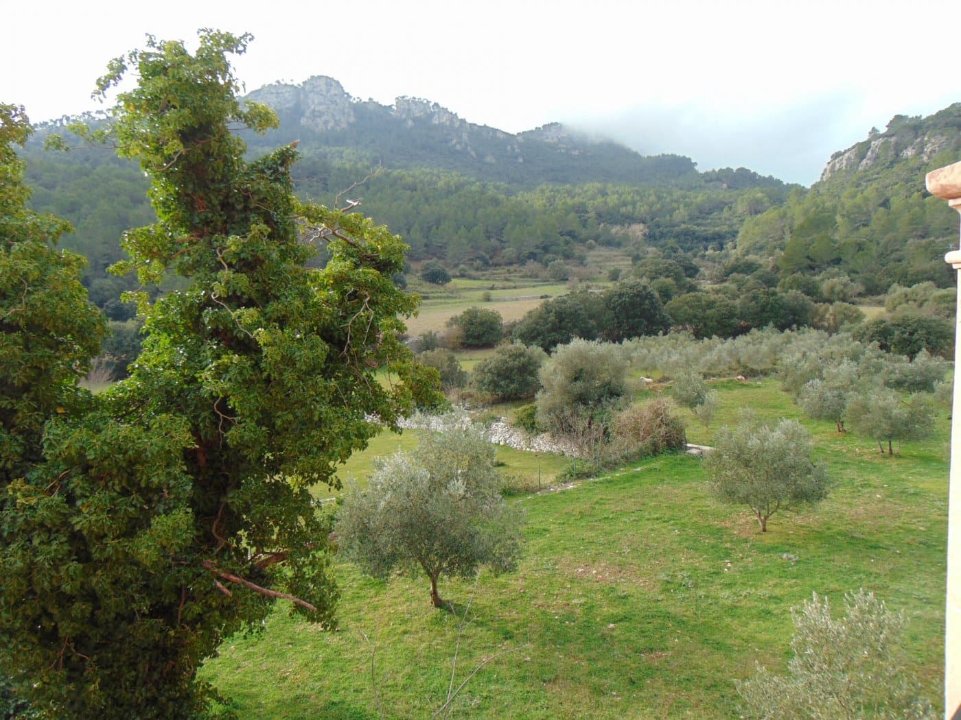 11 soveværelse Finca/Landehus til salg i Bunyola med swimmingpool - € 6.000.000 (Ref: 6162977)