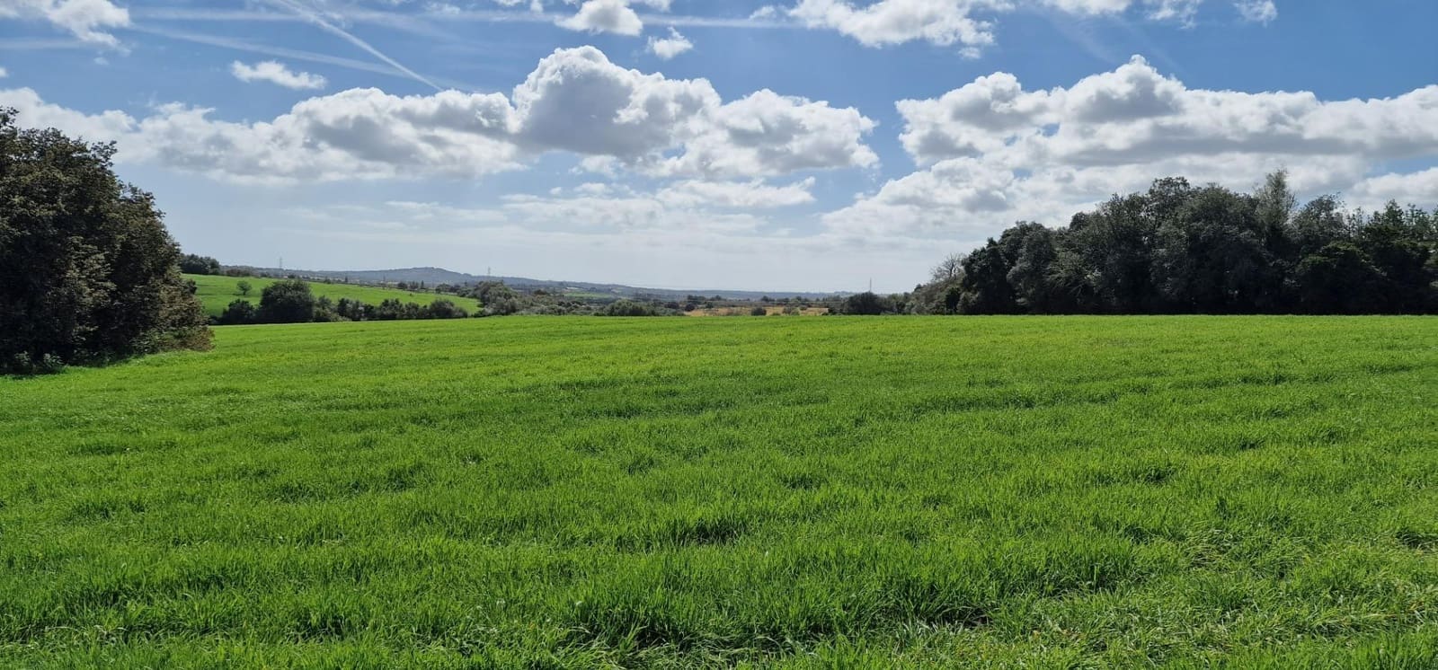 3 soveværelse Finca/Landehus til salg i Manacor - € 950.000 (Ref: 7507086)