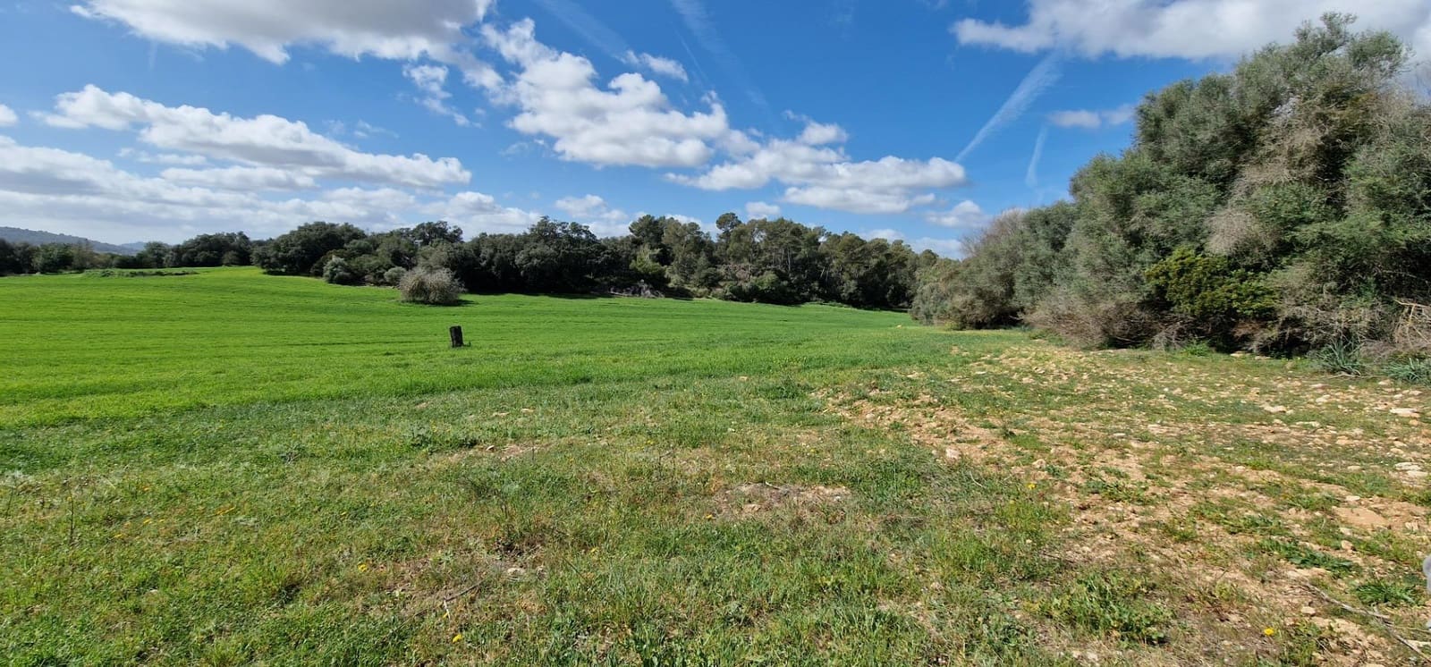 3 soveværelse Finca/Landehus til salg i Manacor - € 950.000 (Ref: 7507086)