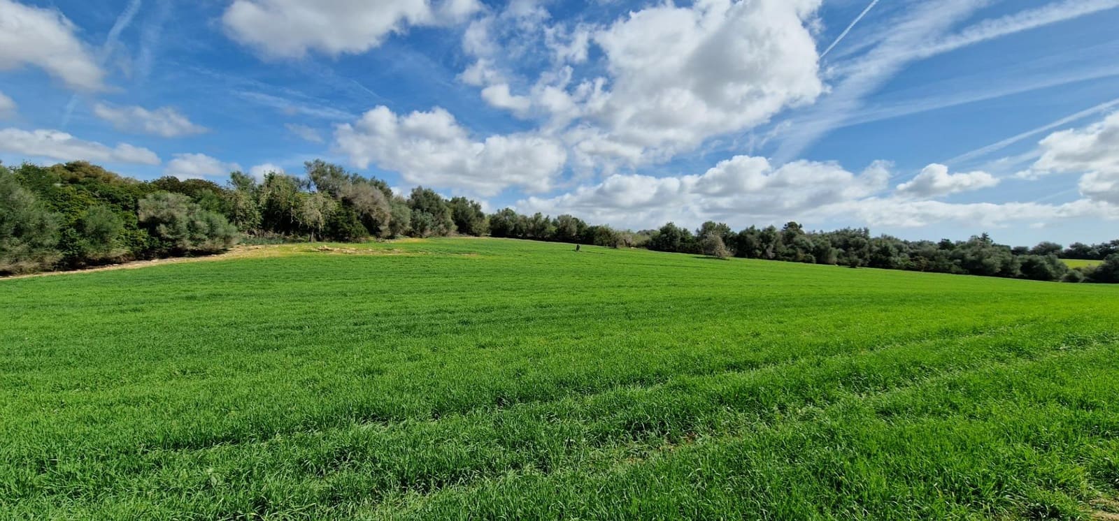 3 soveværelse Finca/Landehus til salg i Manacor - € 950.000 (Ref: 7507086)