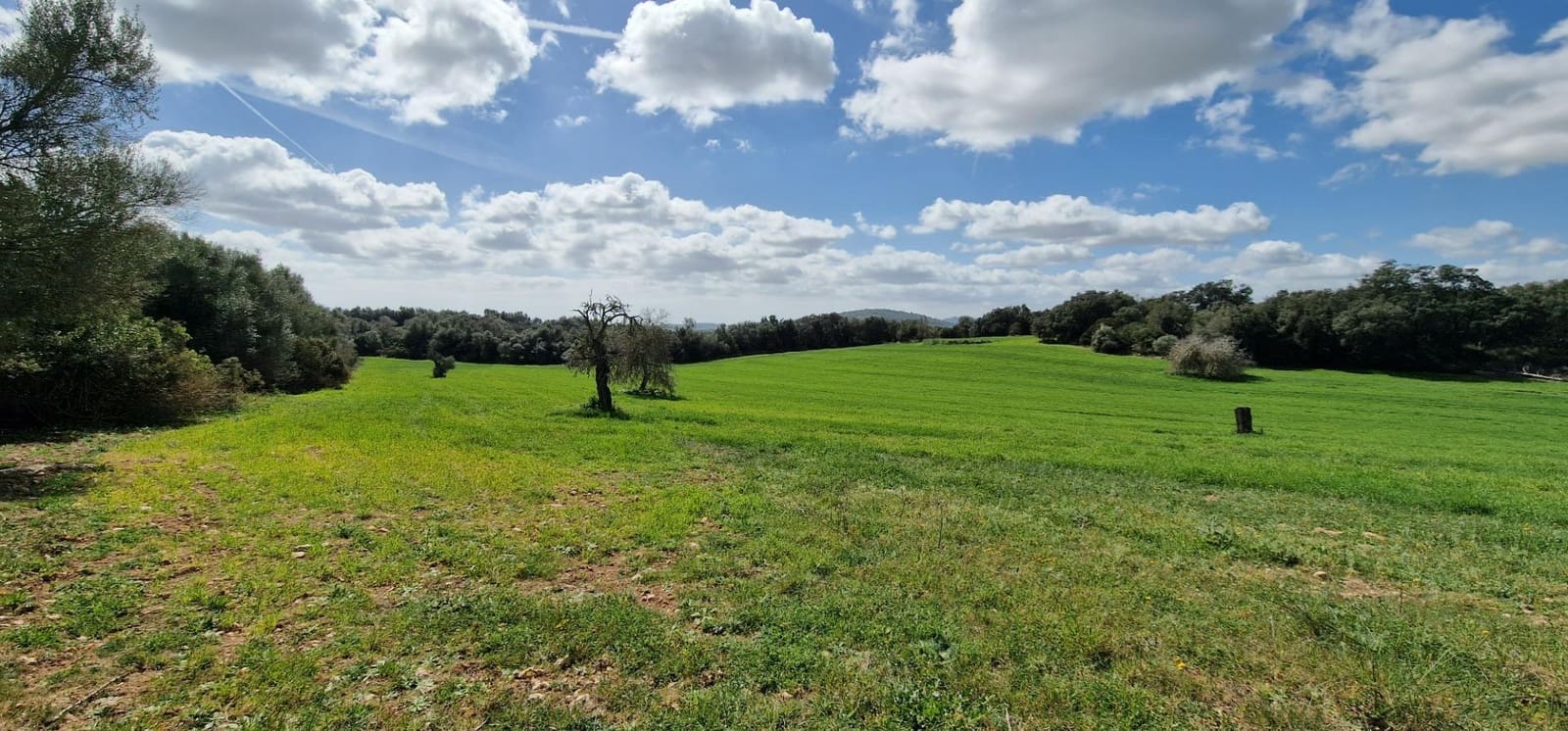 3 soveværelse Finca/Landehus til salg i Manacor - € 950.000 (Ref: 7507086)