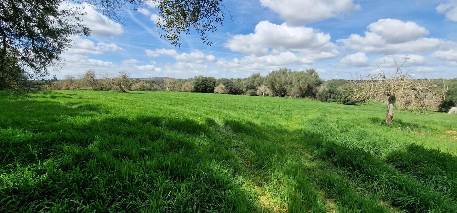 3 soveværelse Finca/Landehus til salg i Manacor - € 950.000 (Ref: 7507086)