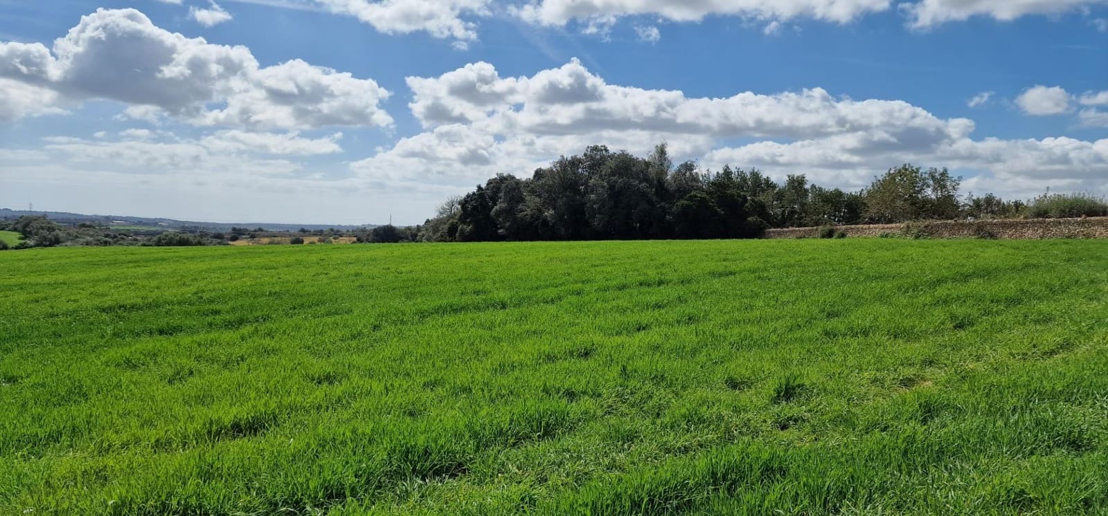 3 soveværelse Finca/Landehus til salg i Manacor - € 950.000 (Ref: 7507086)