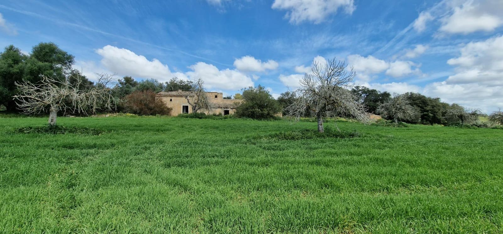 3 soveværelse Finca/Landehus til salg i Manacor - € 950.000 (Ref: 7507086)