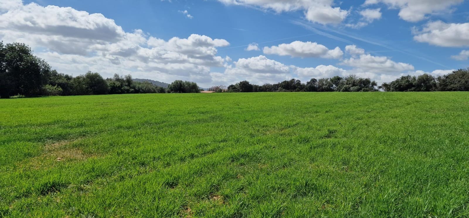 3 soveværelse Finca/Landehus til salg i Manacor - € 950.000 (Ref: 7507086)