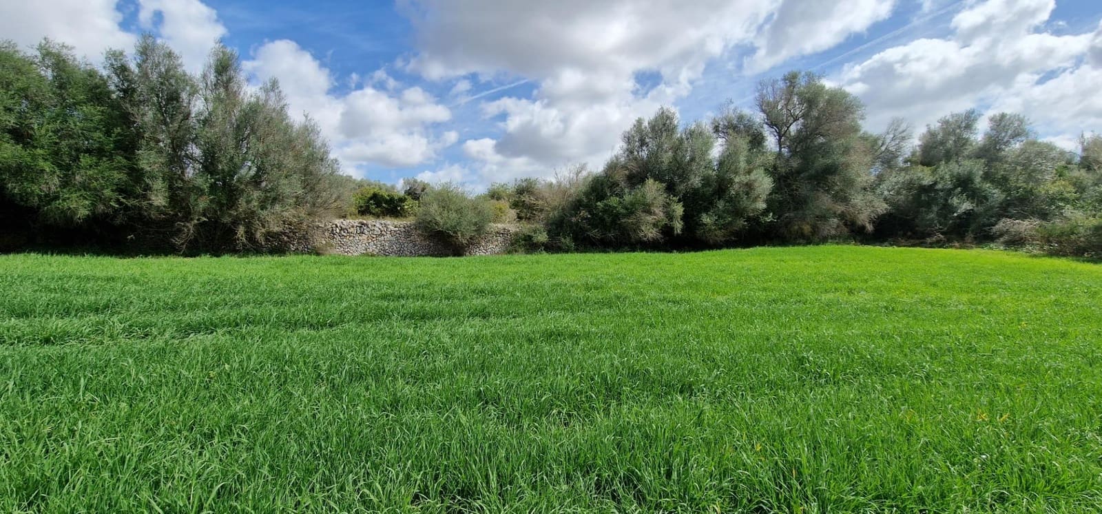 3 soveværelse Finca/Landehus til salg i Manacor - € 950.000 (Ref: 7507086)