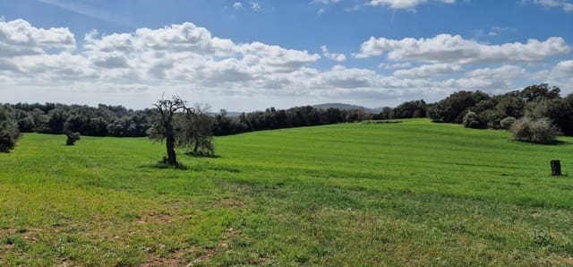 3 bedroom Finca/Country House for sale in Manacor - € 950,000 (Ref: 7507086)