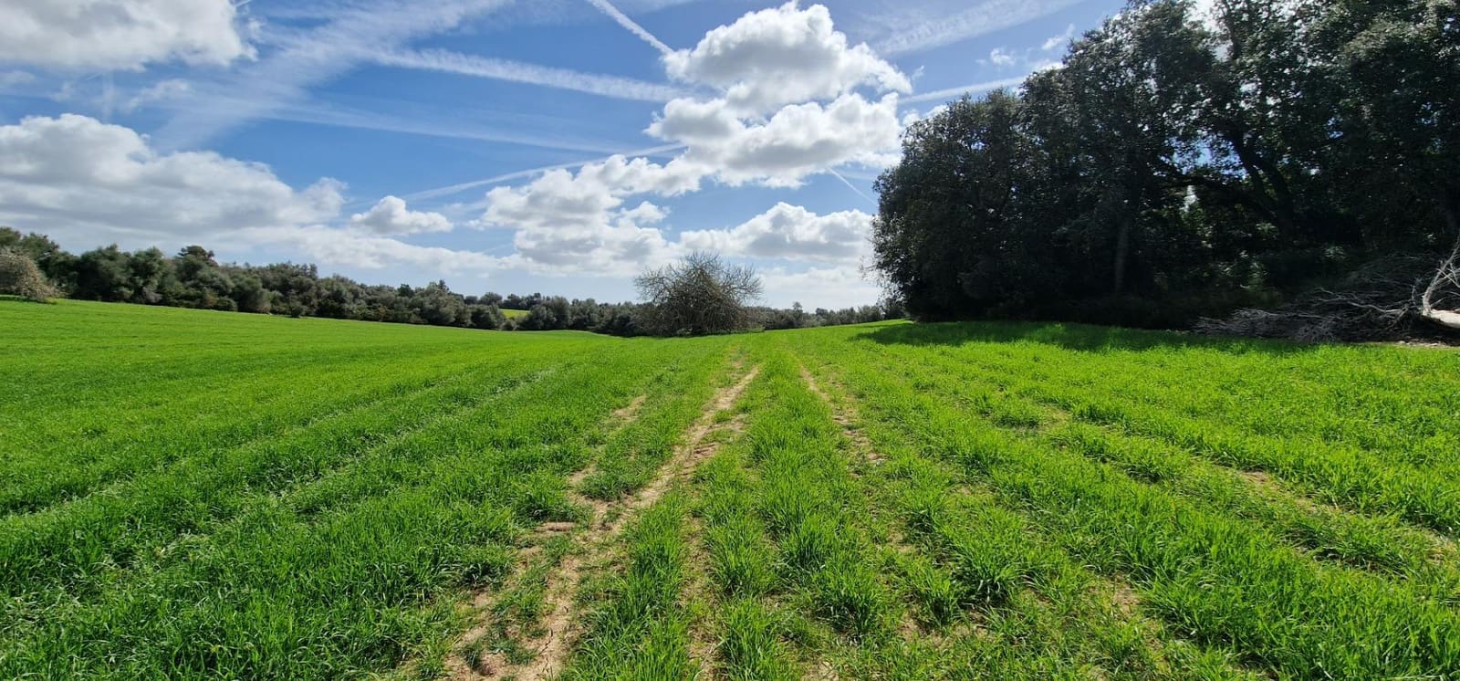 3 soveværelse Finca/Landehus til salg i Manacor - € 950.000 (Ref: 7507086)