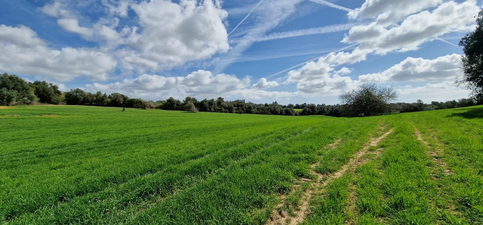 3 soveværelse Finca/Landehus til salg i Manacor - € 950.000 (Ref: 7507086)