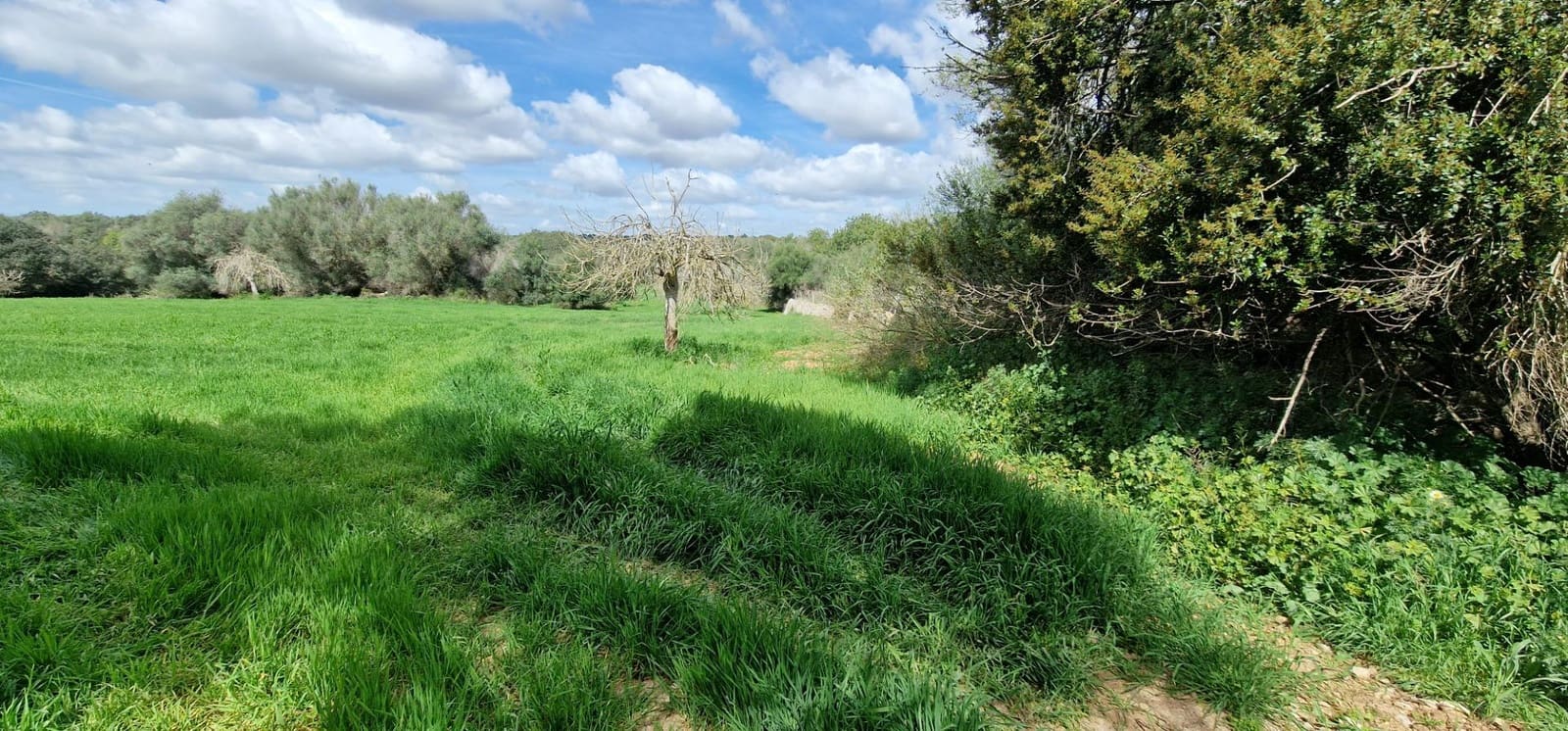 3 soveværelse Finca/Landehus til salg i Manacor - € 950.000 (Ref: 7507086)