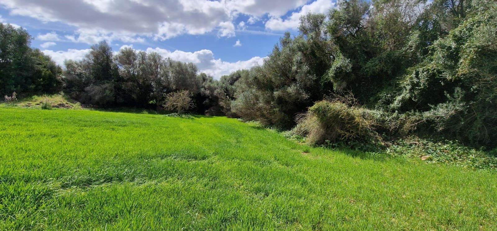 3 soveværelse Finca/Landehus til salg i Manacor - € 950.000 (Ref: 7507086)