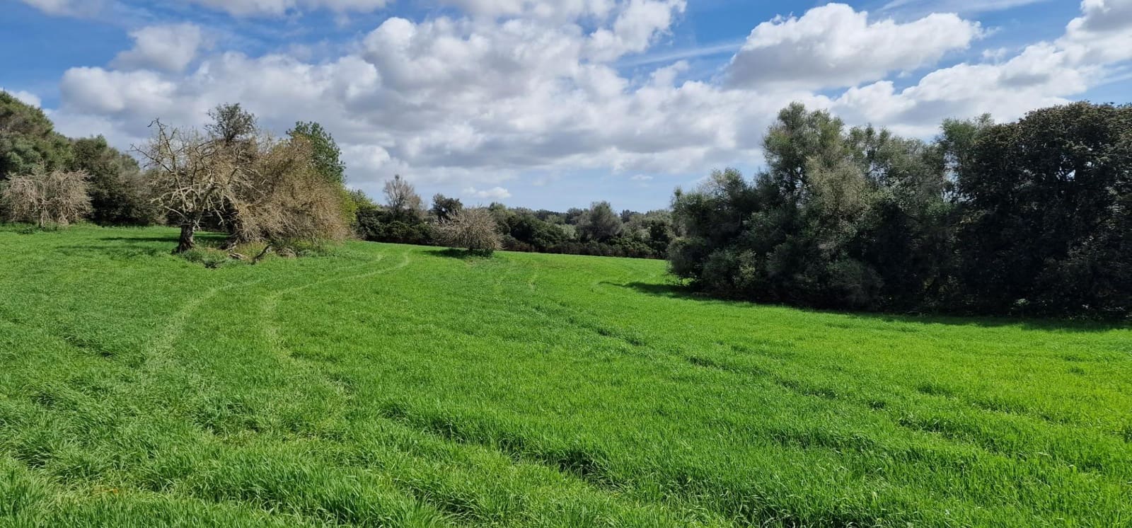 3 soveværelse Finca/Landehus til salg i Manacor - € 950.000 (Ref: 7507086)