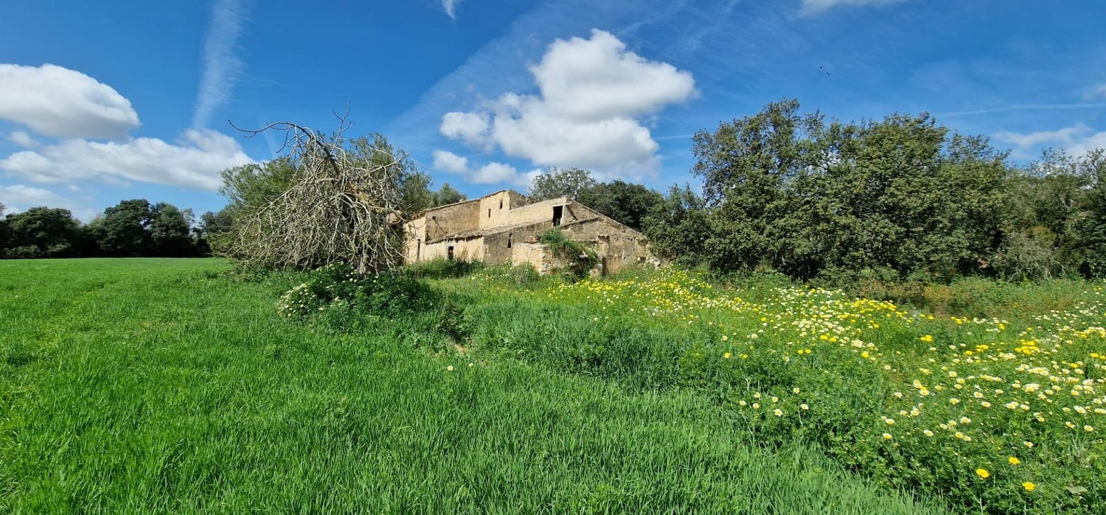 3 soveværelse Finca/Landehus til salg i Manacor - € 950.000 (Ref: 7507086)