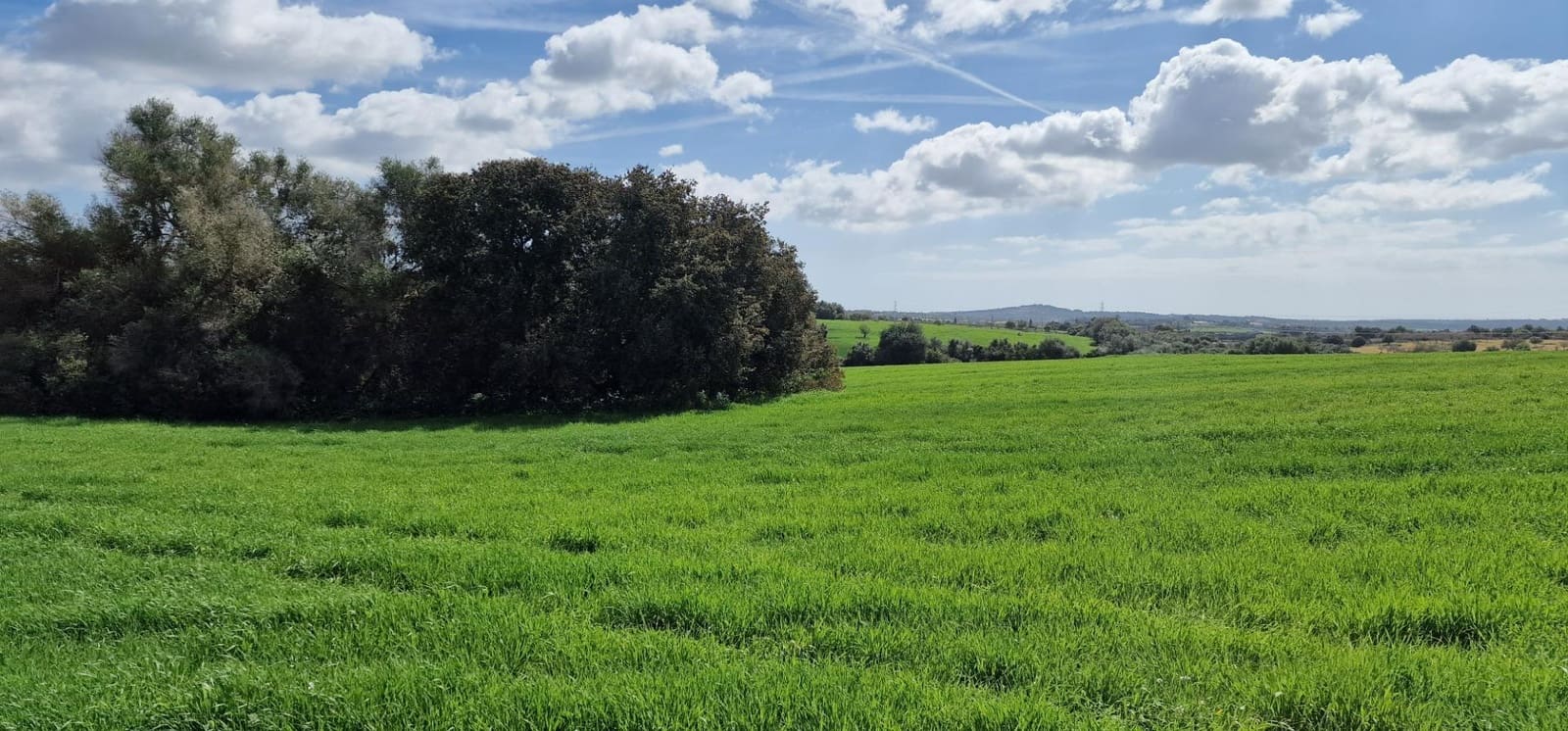 3 soveværelse Finca/Landehus til salg i Manacor - € 950.000 (Ref: 7507086)