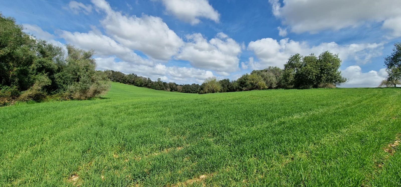 3 soveværelse Finca/Landehus til salg i Manacor - € 950.000 (Ref: 7507086)