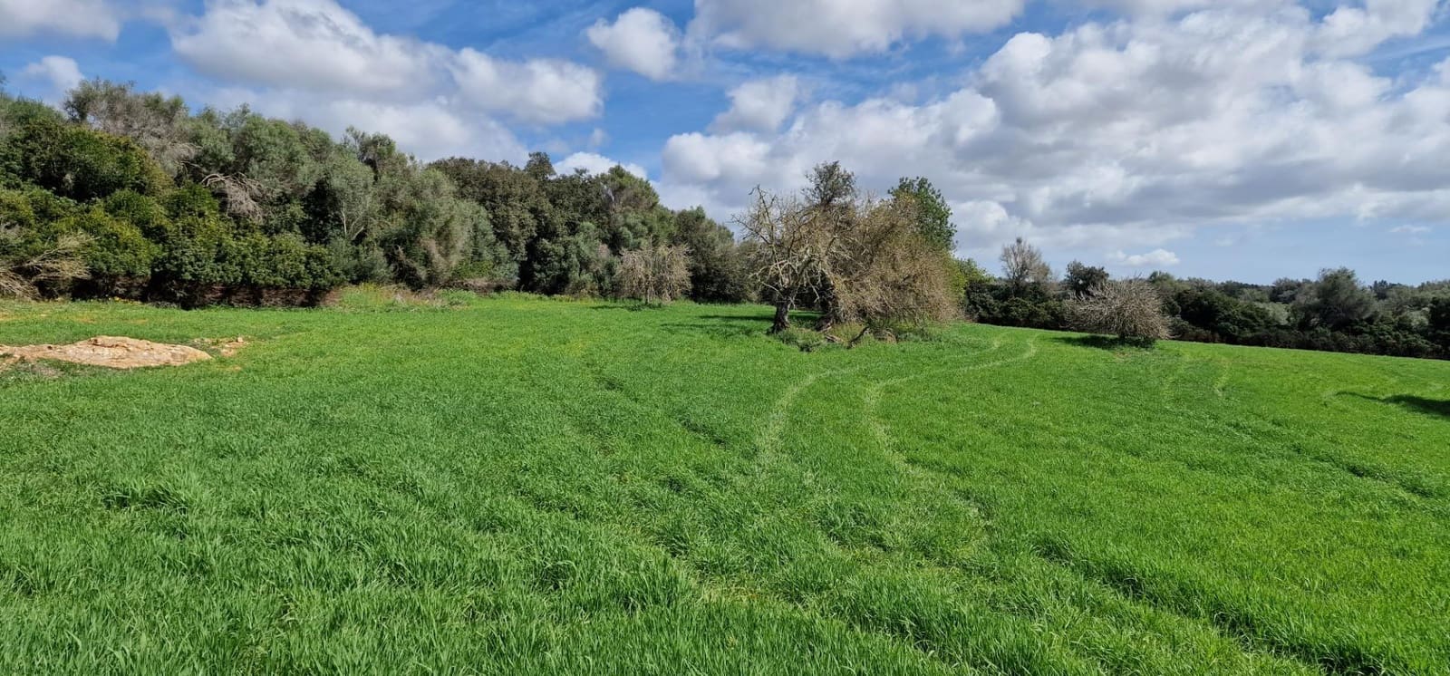 3 soveværelse Finca/Landehus til salg i Manacor - € 950.000 (Ref: 7507086)