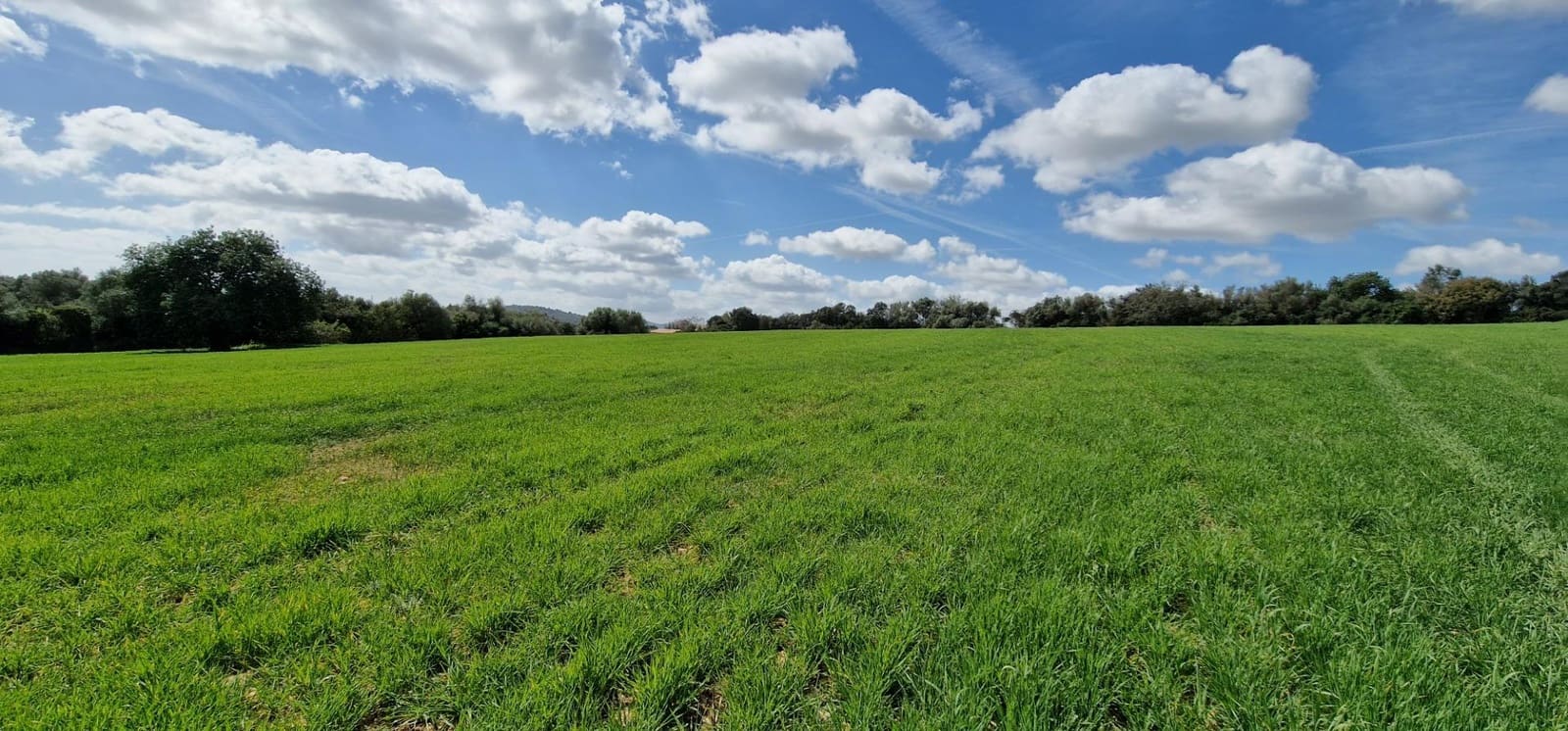 3 soveværelse Finca/Landehus til salg i Manacor - € 950.000 (Ref: 7507086)