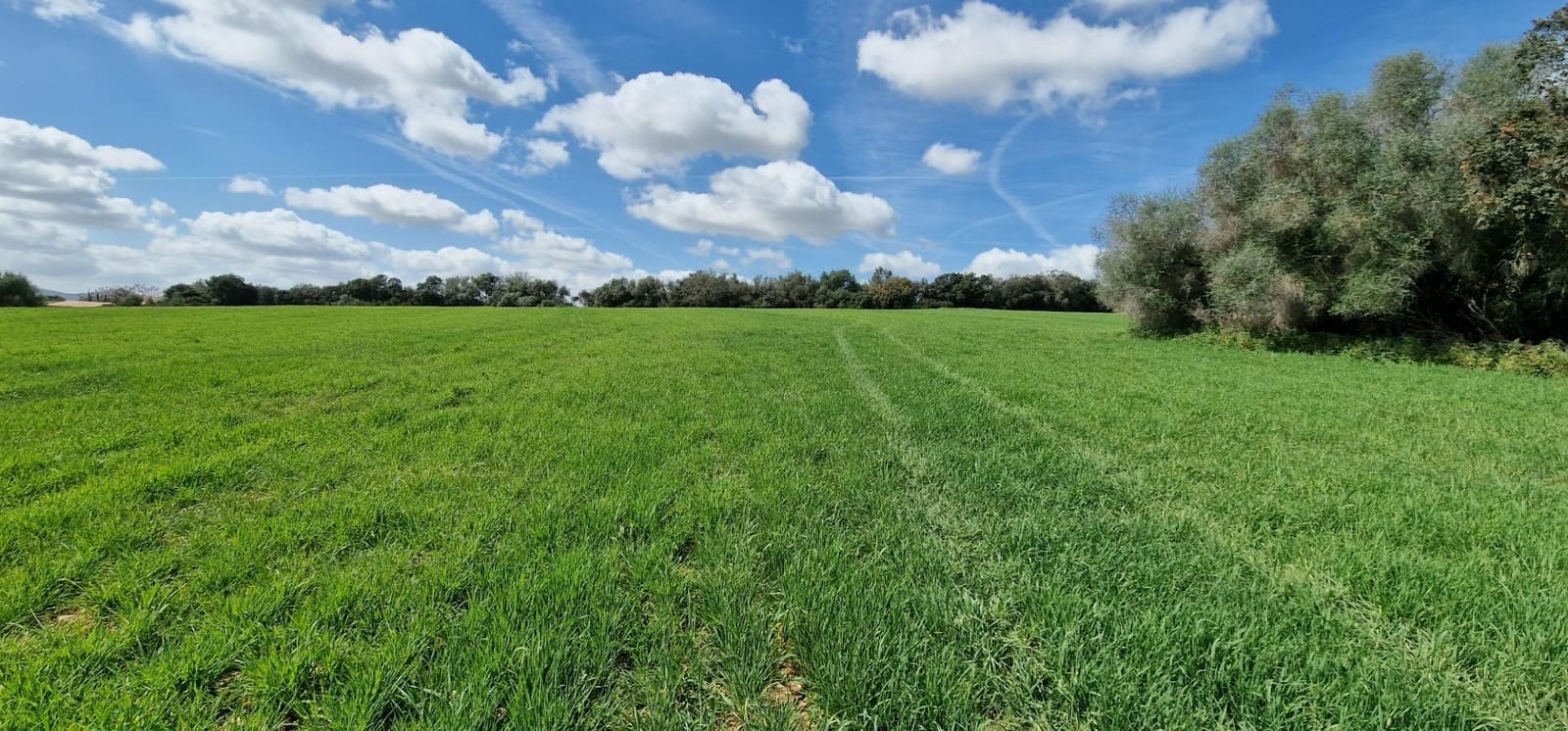 3 soveværelse Finca/Landehus til salg i Manacor - € 950.000 (Ref: 7507086)