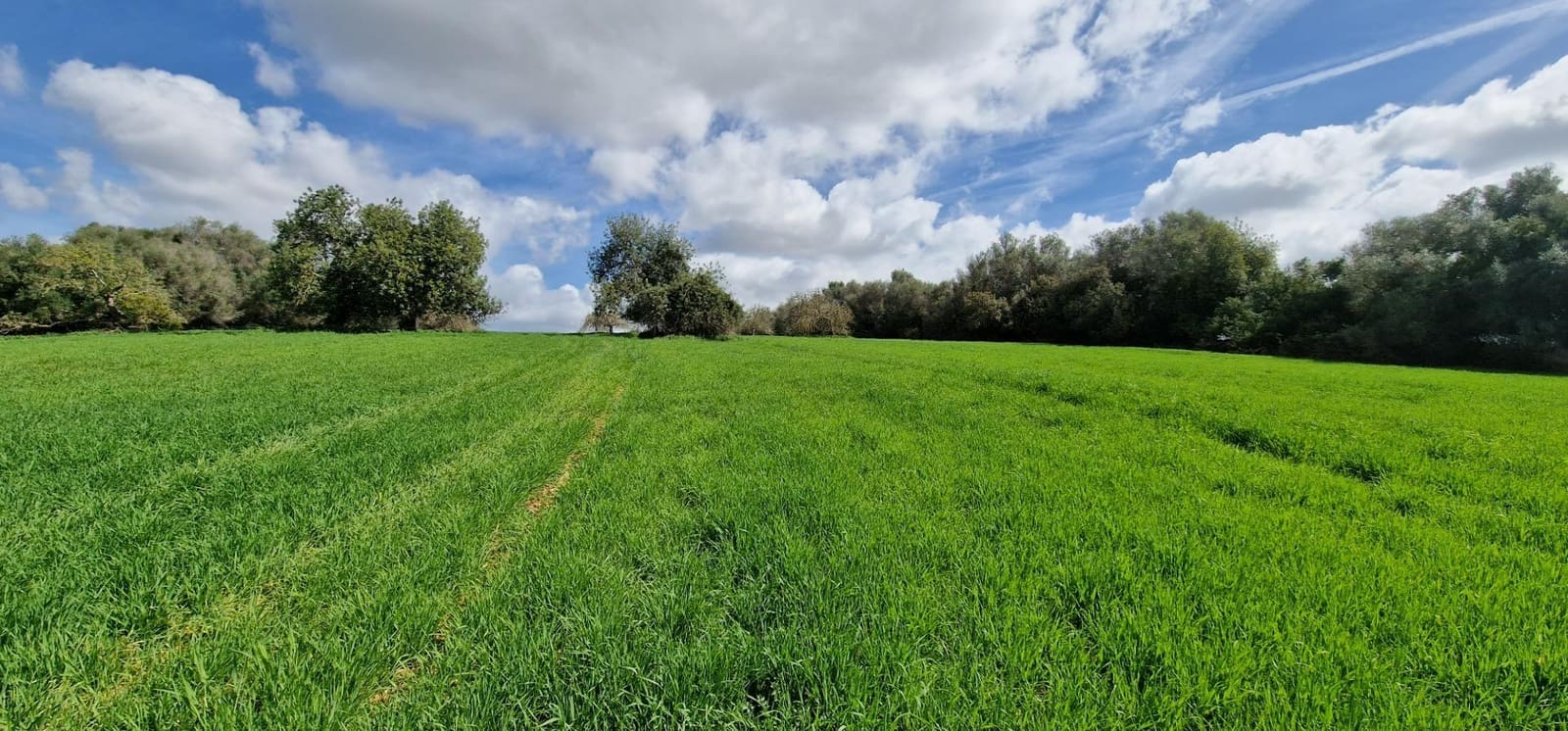 3 soveværelse Finca/Landehus til salg i Manacor - € 950.000 (Ref: 7507086)