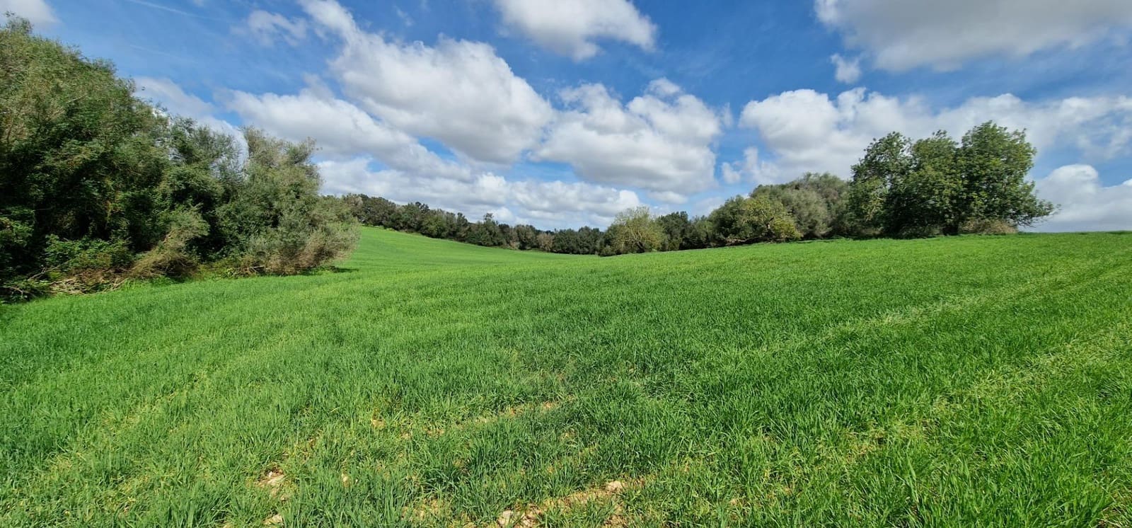 3 soveværelse Finca/Landehus til salg i Manacor - € 950.000 (Ref: 7507086)