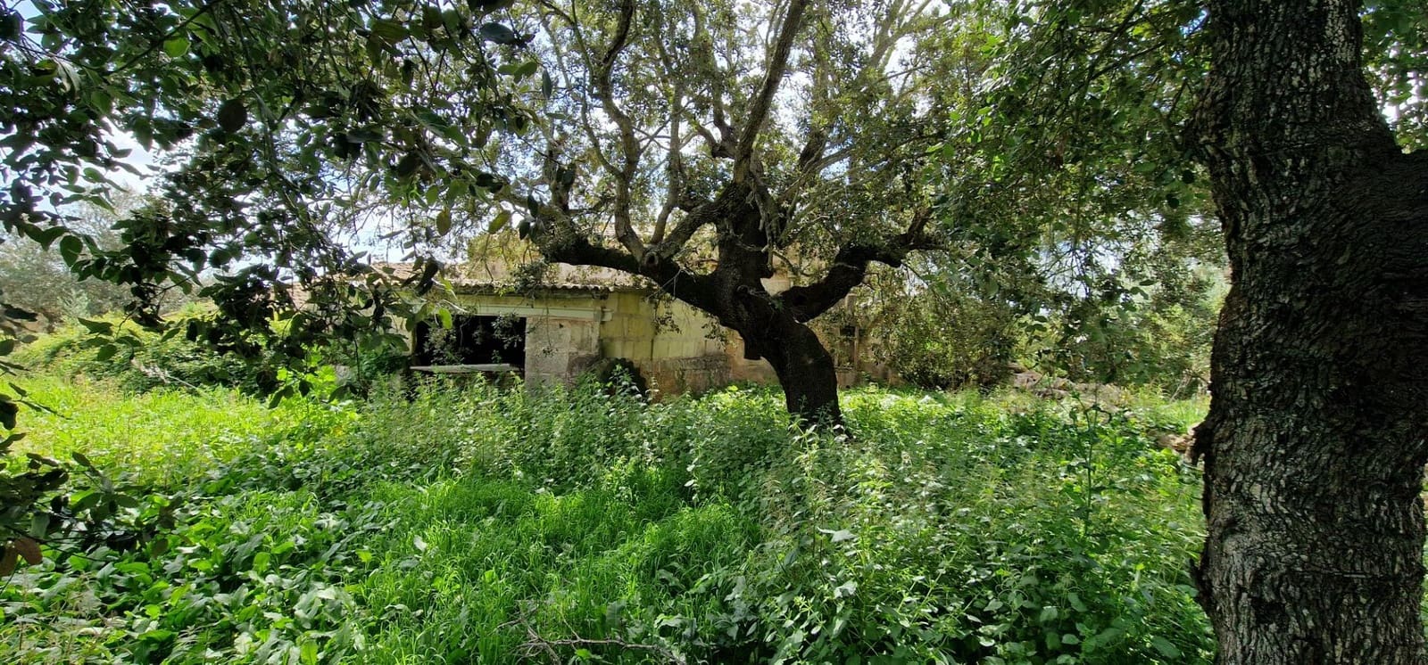 3 soveværelse Finca/Landehus til salg i Manacor - € 950.000 (Ref: 7507086)