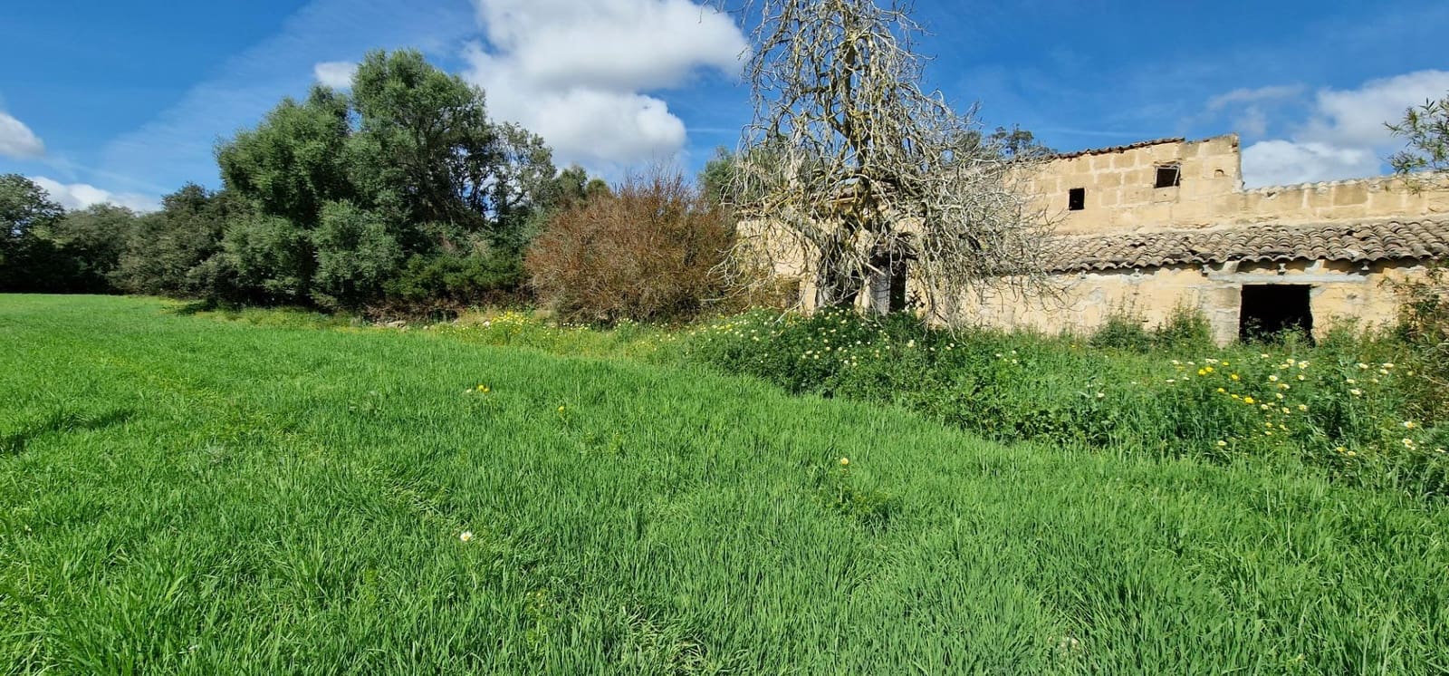 3 soveværelse Finca/Landehus til salg i Manacor - € 950.000 (Ref: 7507086)