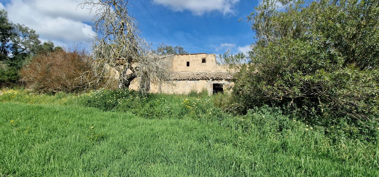 3 soveværelse Finca/Landehus til salg i Manacor - € 950.000 (Ref: 7507086)