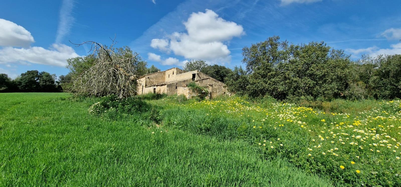 3 soveværelse Finca/Landehus til salg i Manacor - € 950.000 (Ref: 7507086)