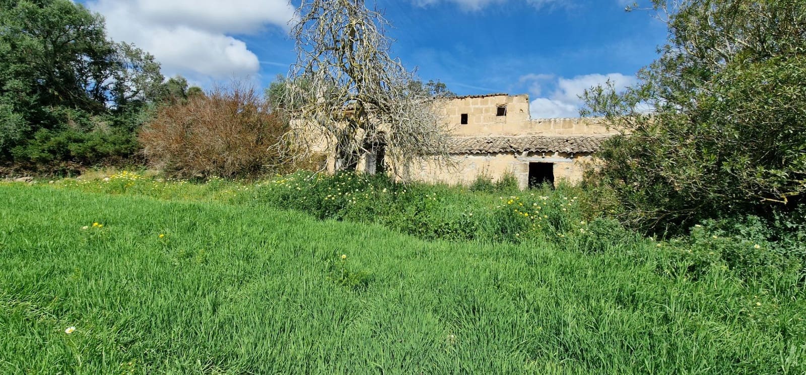 3 soveværelse Finca/Landehus til salg i Manacor - € 950.000 (Ref: 7507086)