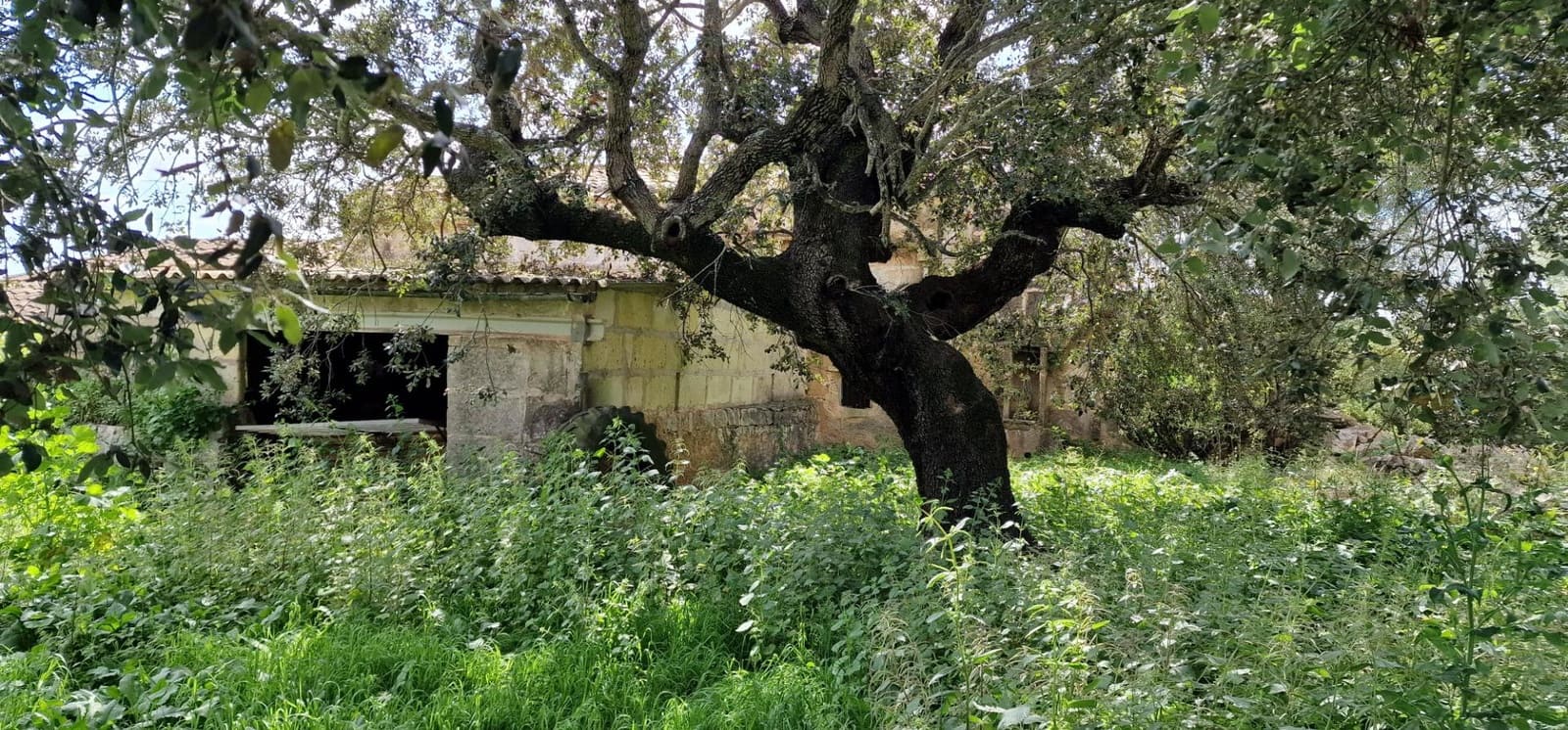 3 soveværelse Finca/Landehus til salg i Manacor - € 950.000 (Ref: 7507086)