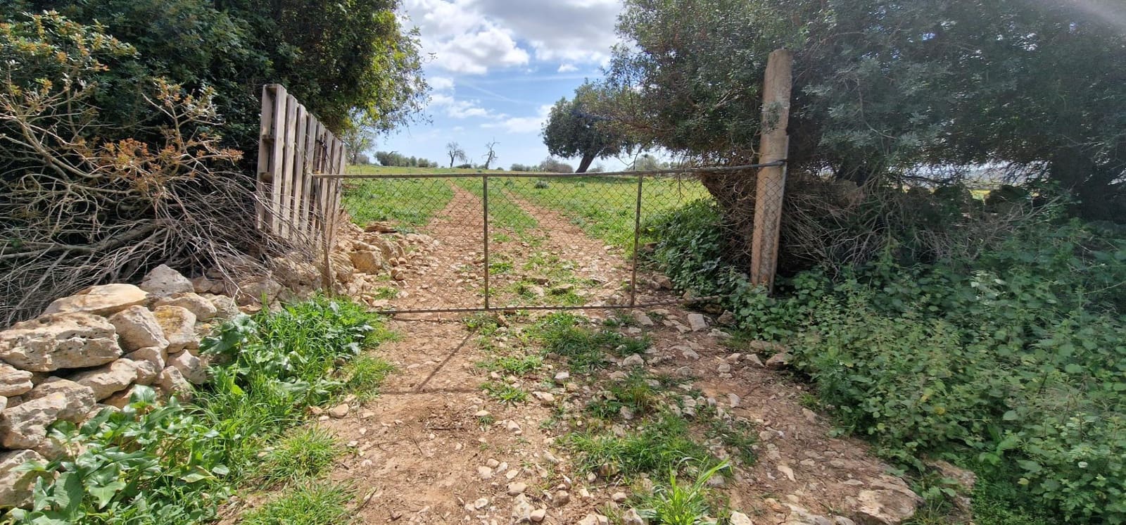 3 soveværelse Finca/Landehus til salg i Manacor - € 950.000 (Ref: 7507086)