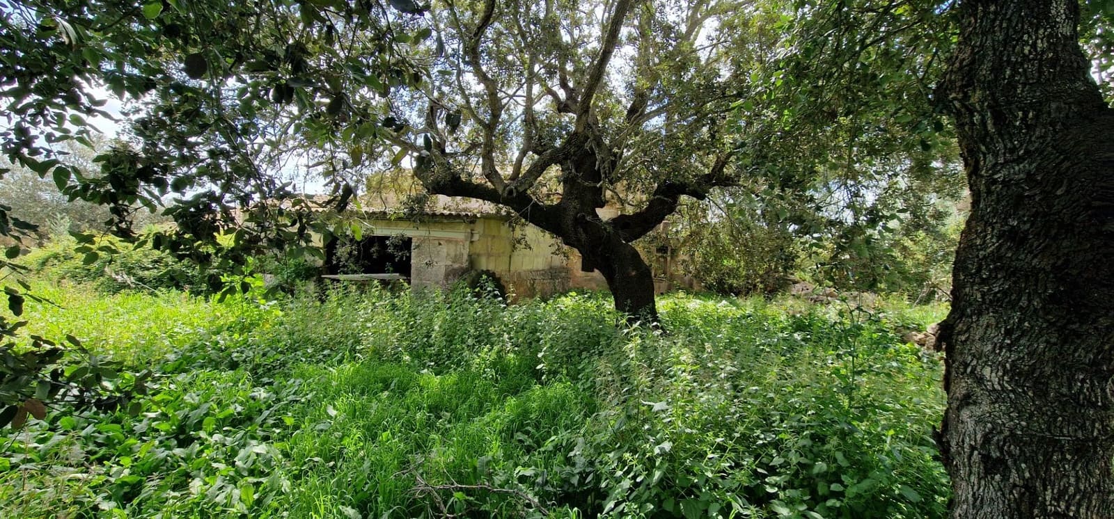 3 soveværelse Finca/Landehus til salg i Manacor - € 950.000 (Ref: 7507086)