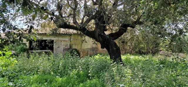 3 bedroom Finca/Country House for sale in Manacor - € 950,000 (Ref: 7507086)