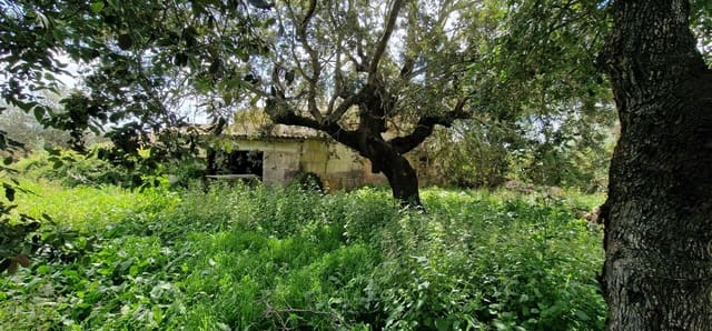 3 bedroom Finca/Country House for sale in Manacor - € 950,000 (Ref: 7507086)