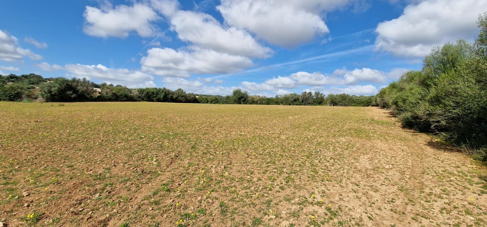 Byggetomt til salgs i Manacor - € 226 000 (Ref: 7507087)