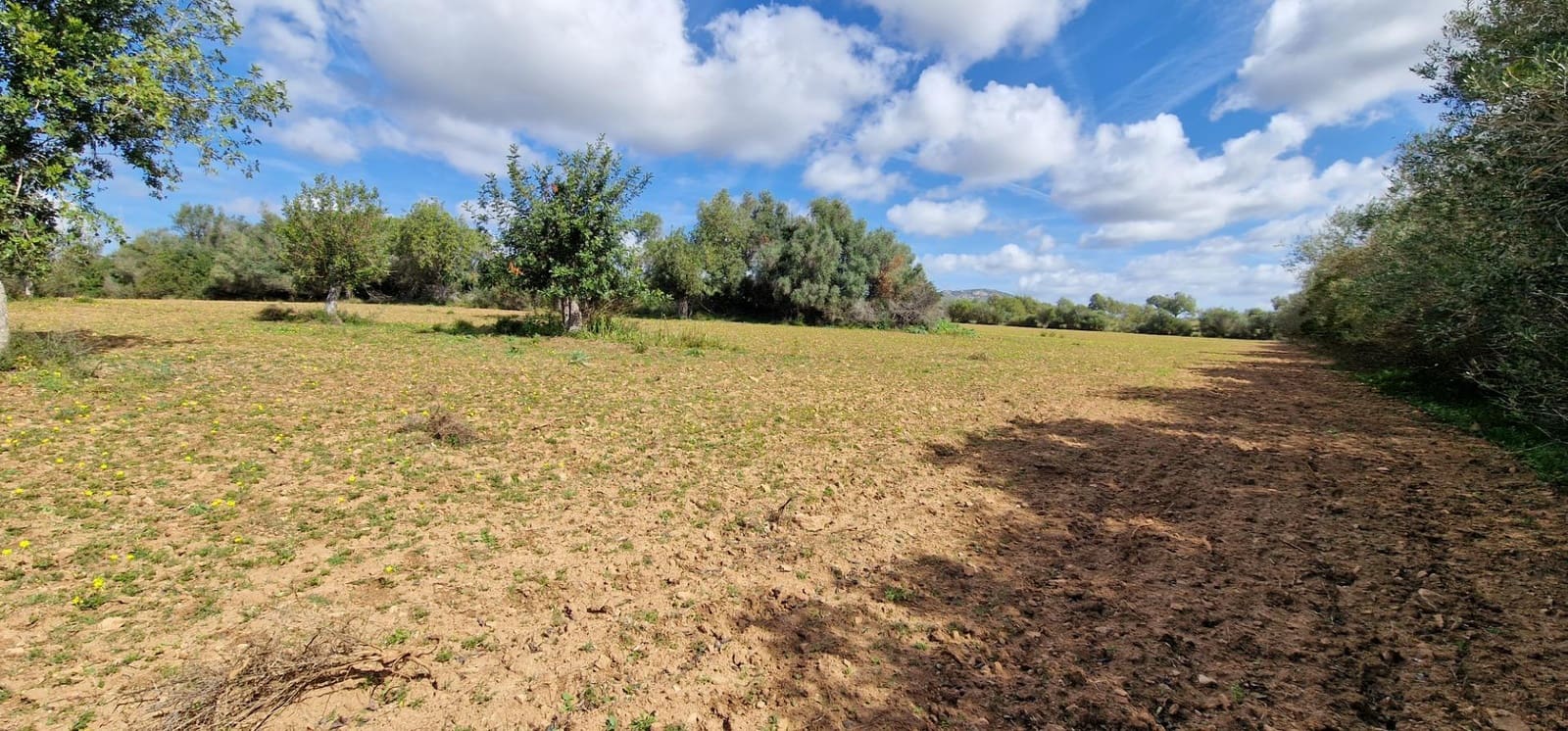 Byggetomt til salgs i Manacor - € 226 000 (Ref: 7507087)