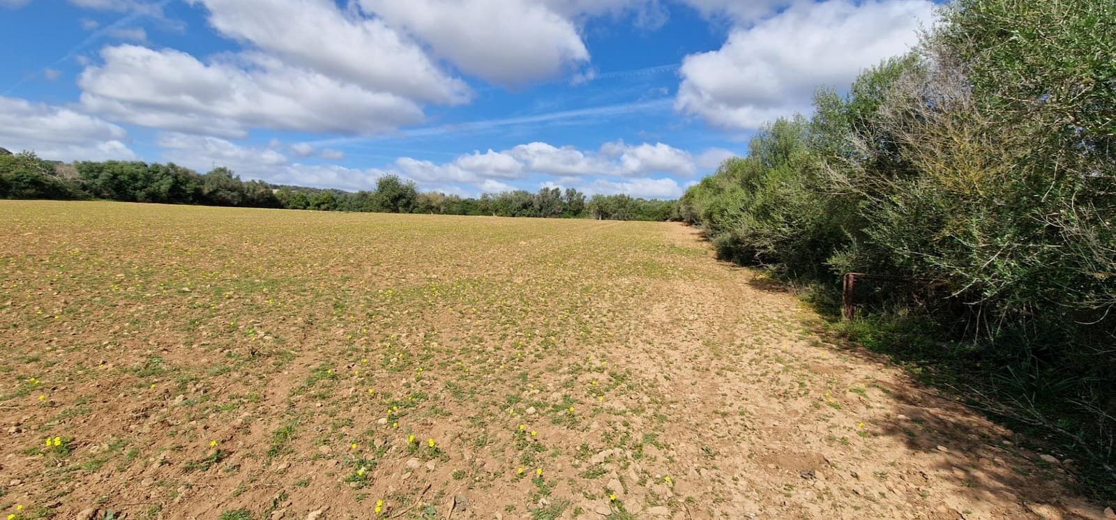 Byggetomt til salgs i Manacor - € 226 000 (Ref: 7507087)