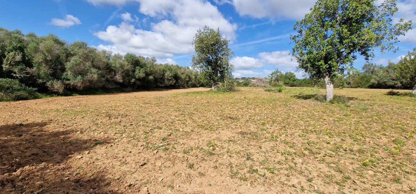 Byggetomt til salgs i Manacor - € 226 000 (Ref: 7507087)