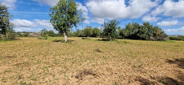 Byggetomt til salgs i Manacor - € 226 000 (Ref: 7507087)