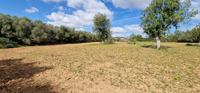 Byggetomt til salgs i Manacor - € 226 000 (Ref: 7507087)