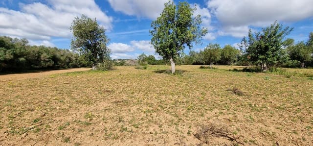 Byggetomt til salgs i Manacor - € 226 000 (Ref: 7507087)