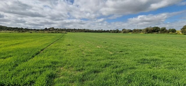 Building Plot for sale in Manacor - € 154,000 (Ref: 7507088)