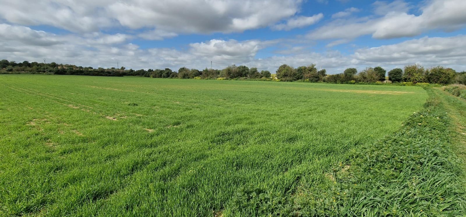 Byggetomt til salgs i Manacor - € 154 000 (Ref: 7507088)