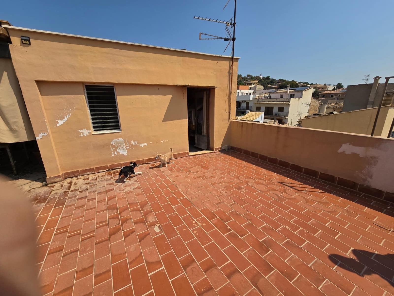 4 camera da letto Appartamento in vendita in Lloseta - 330.000 € (Rif: 9183645)