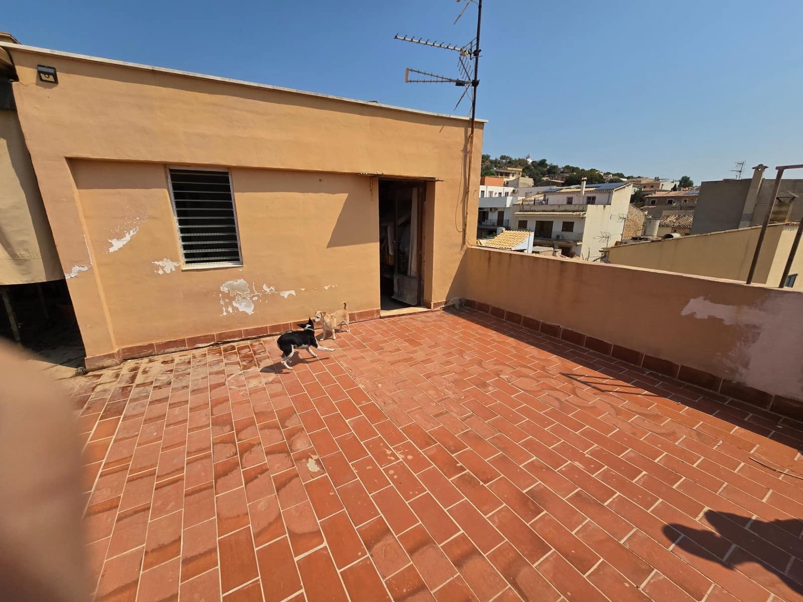 4 camera da letto Appartamento in vendita in Lloseta - 330.000 € (Rif: 9183645)