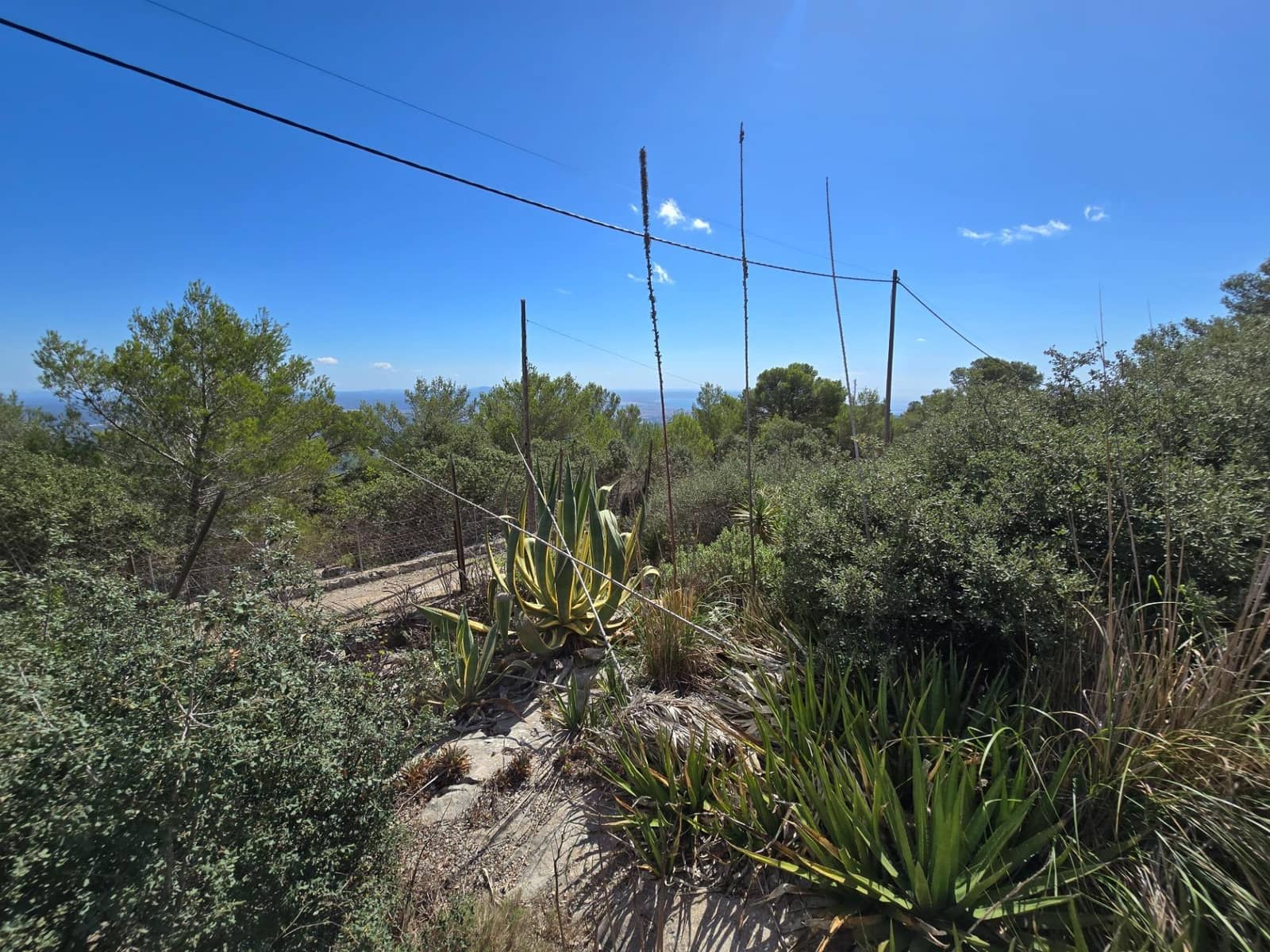 5 soveværelse Finca/Landehus til salg i Esporles - € 1.200.000 (Ref: 9269707)