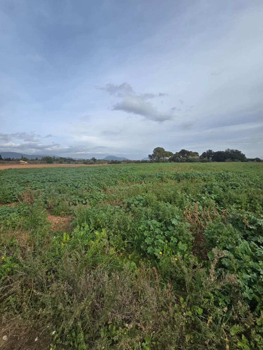 3 soveværelse Finca/Landehus til salg i Buger - € 320.000 (Ref: 9437798)