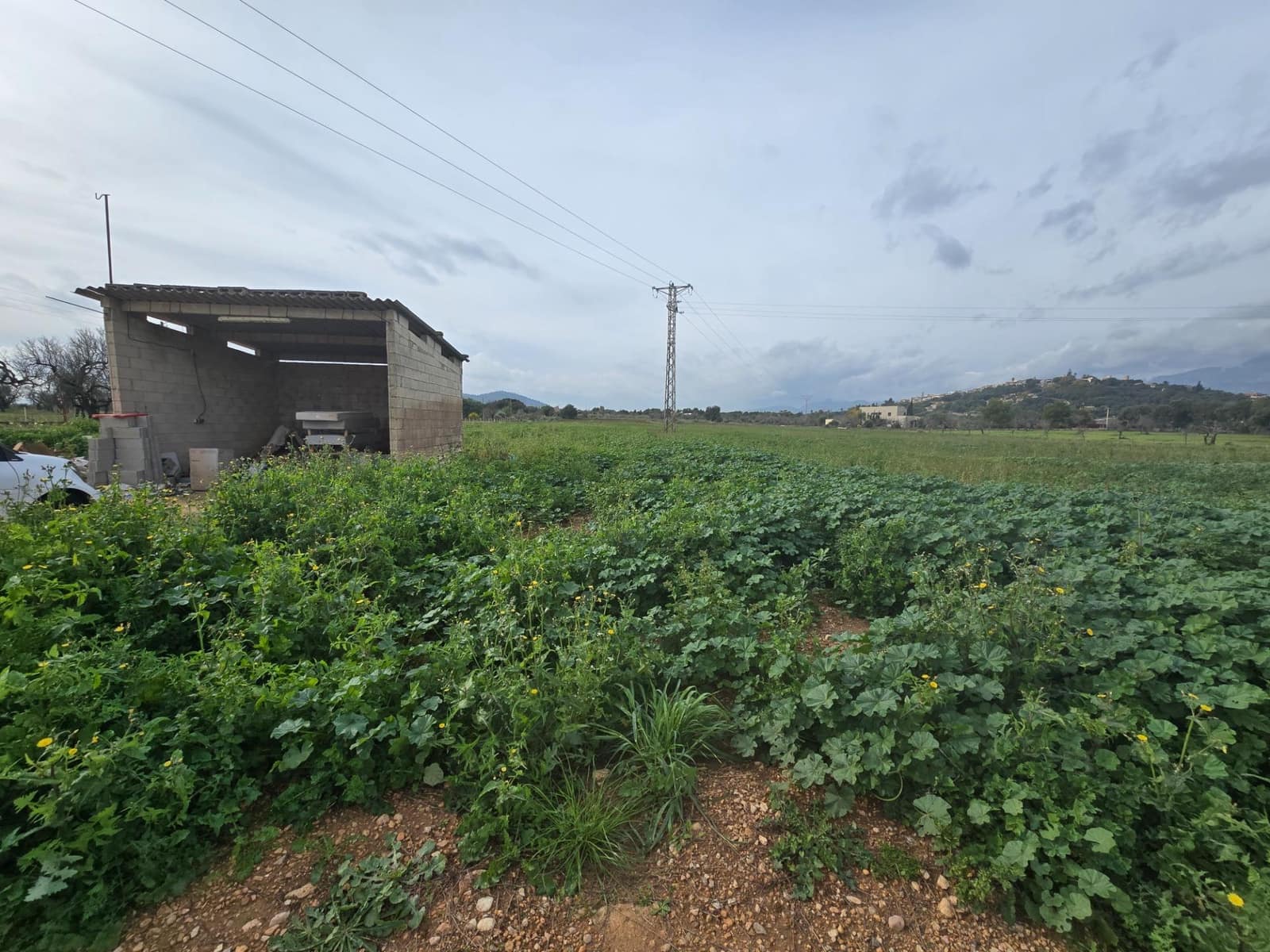 3 soveværelse Finca/Landehus til salg i Buger - € 320.000 (Ref: 9437798)