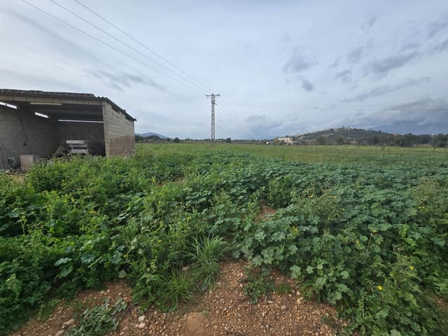 3 chambre Finca/Maison de Campagne à vendre à Búger - 250 000 € (Ref: 9440113)